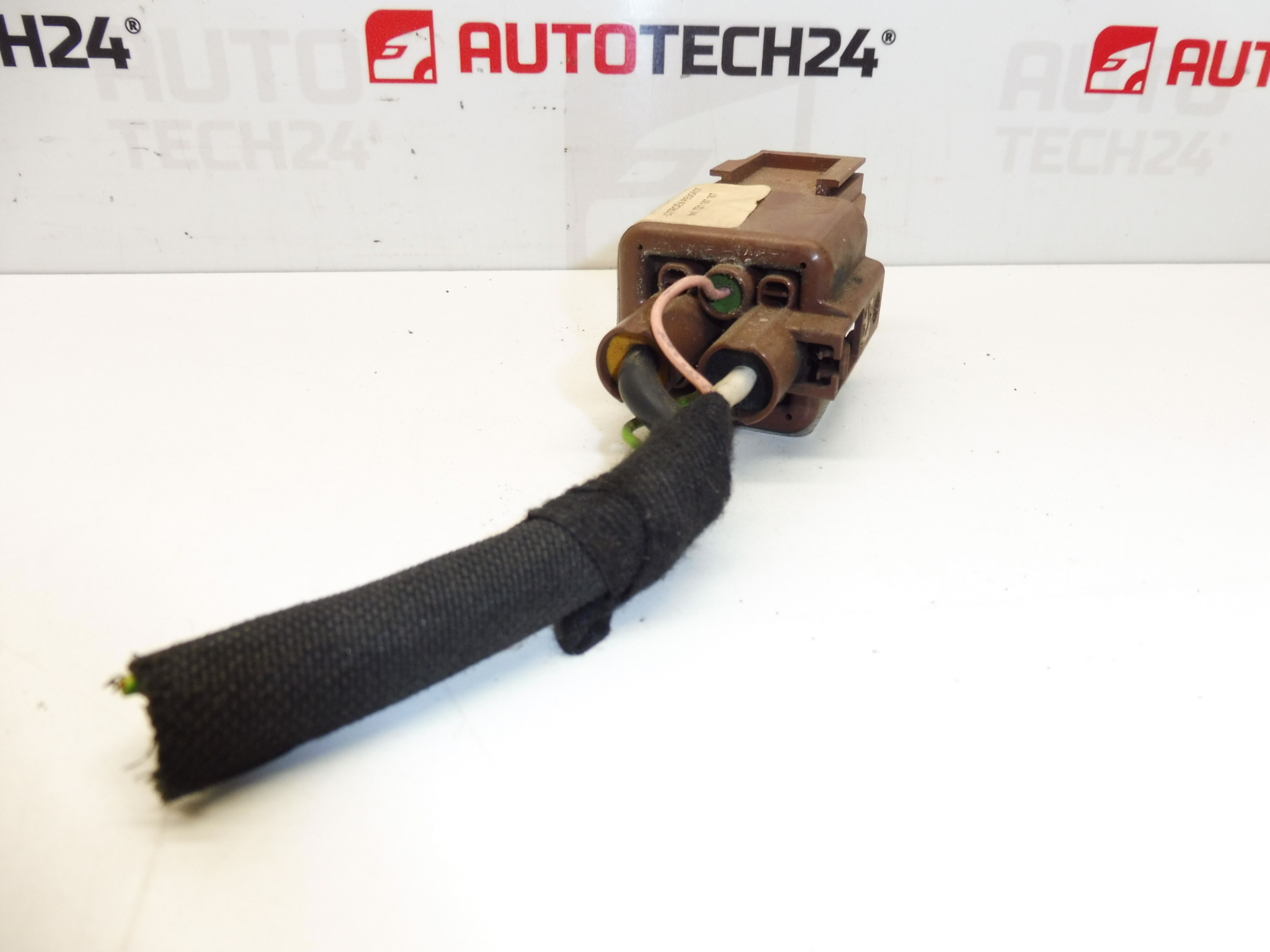 Sahara-Relais Citroën Peugeot Bitron 250030 220506 6545XF