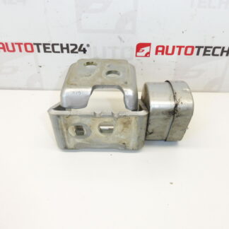 Linker Türanschlag EZRC Citroën C5 X7 9035W9