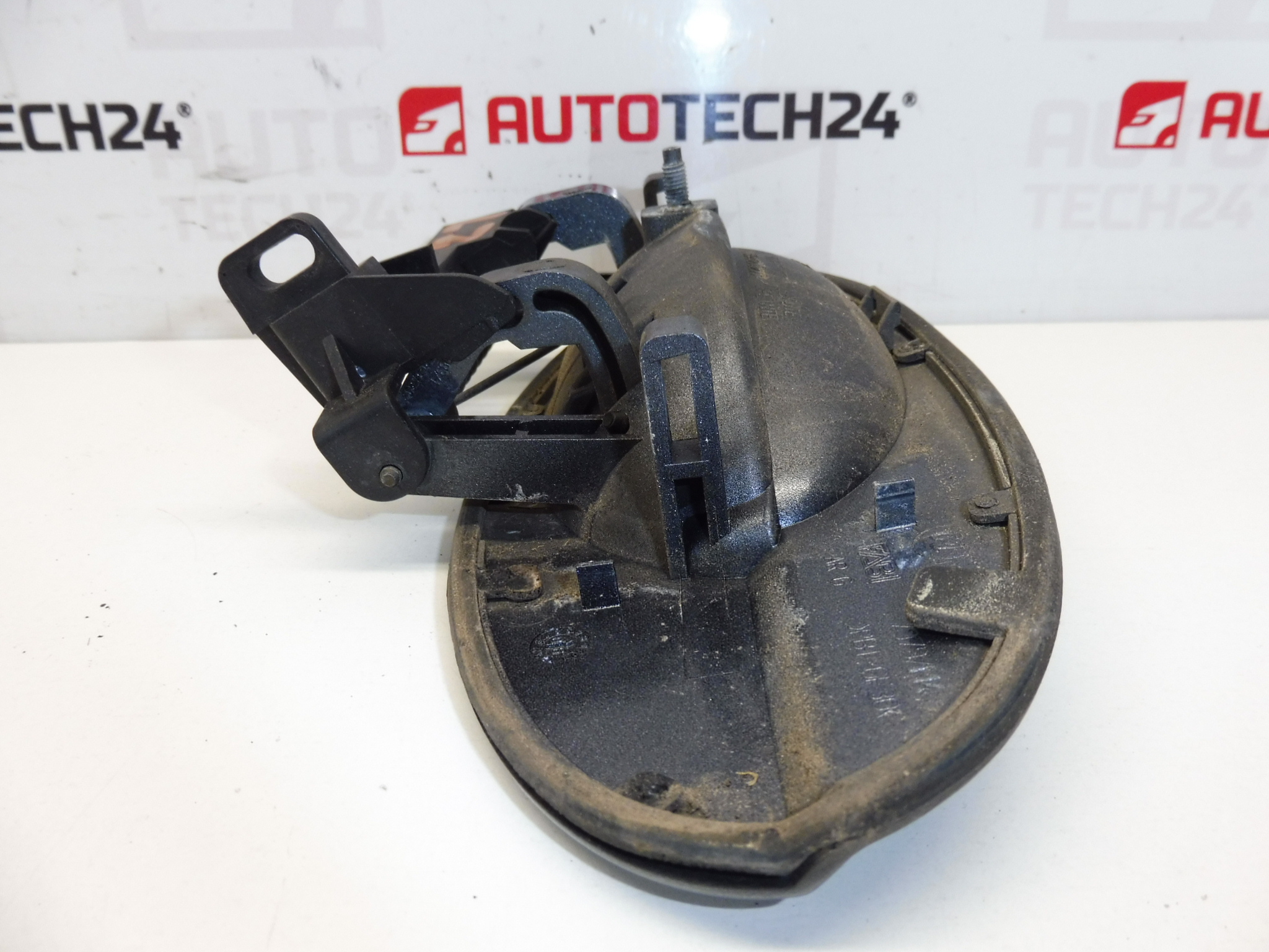 Linker hinterer Türgriff EZWD Citroën C5 I und II 9631831077 9101S7