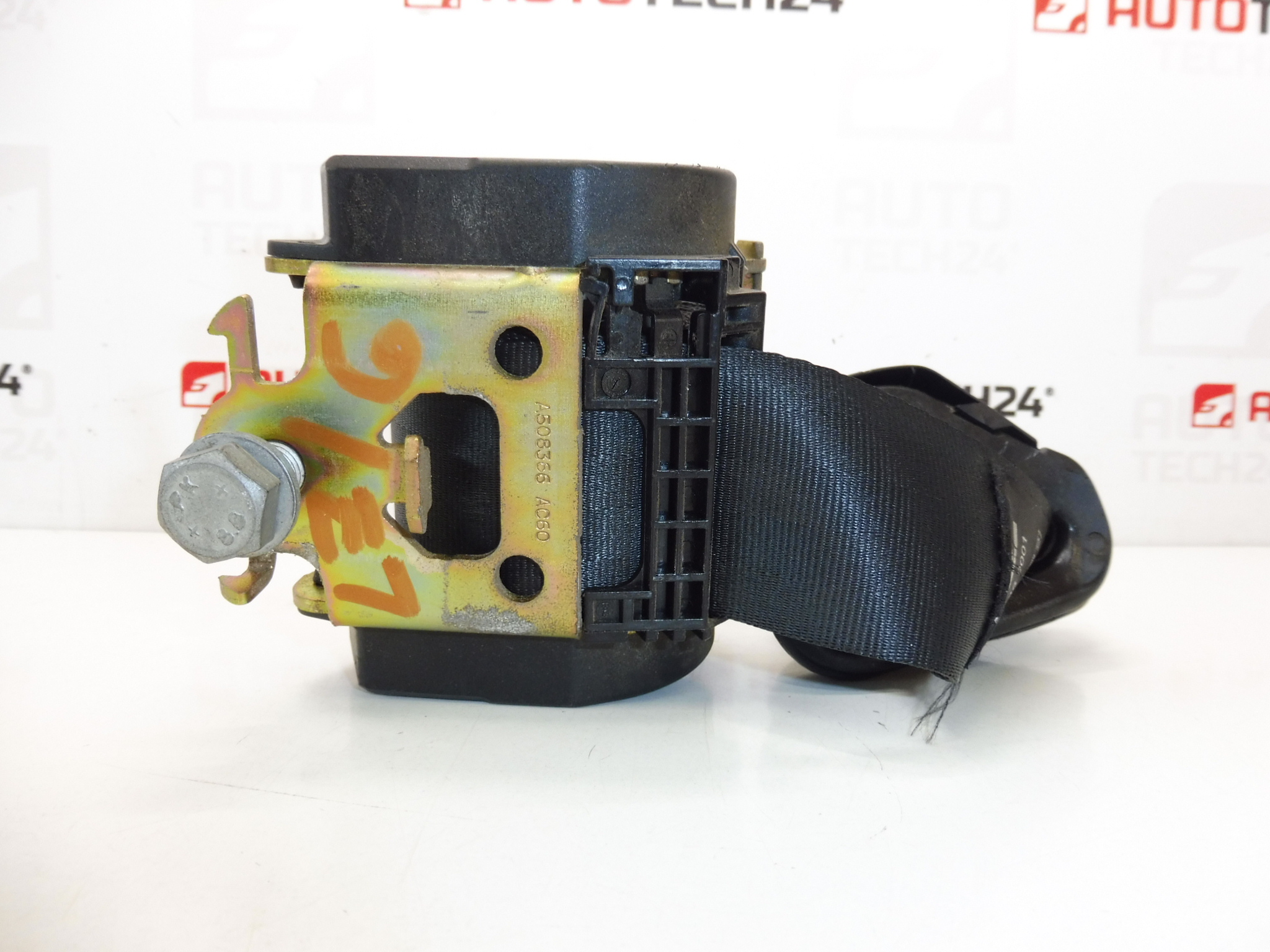 Riemen rechts hinten Peugeot 307 96403820XX 8974JN