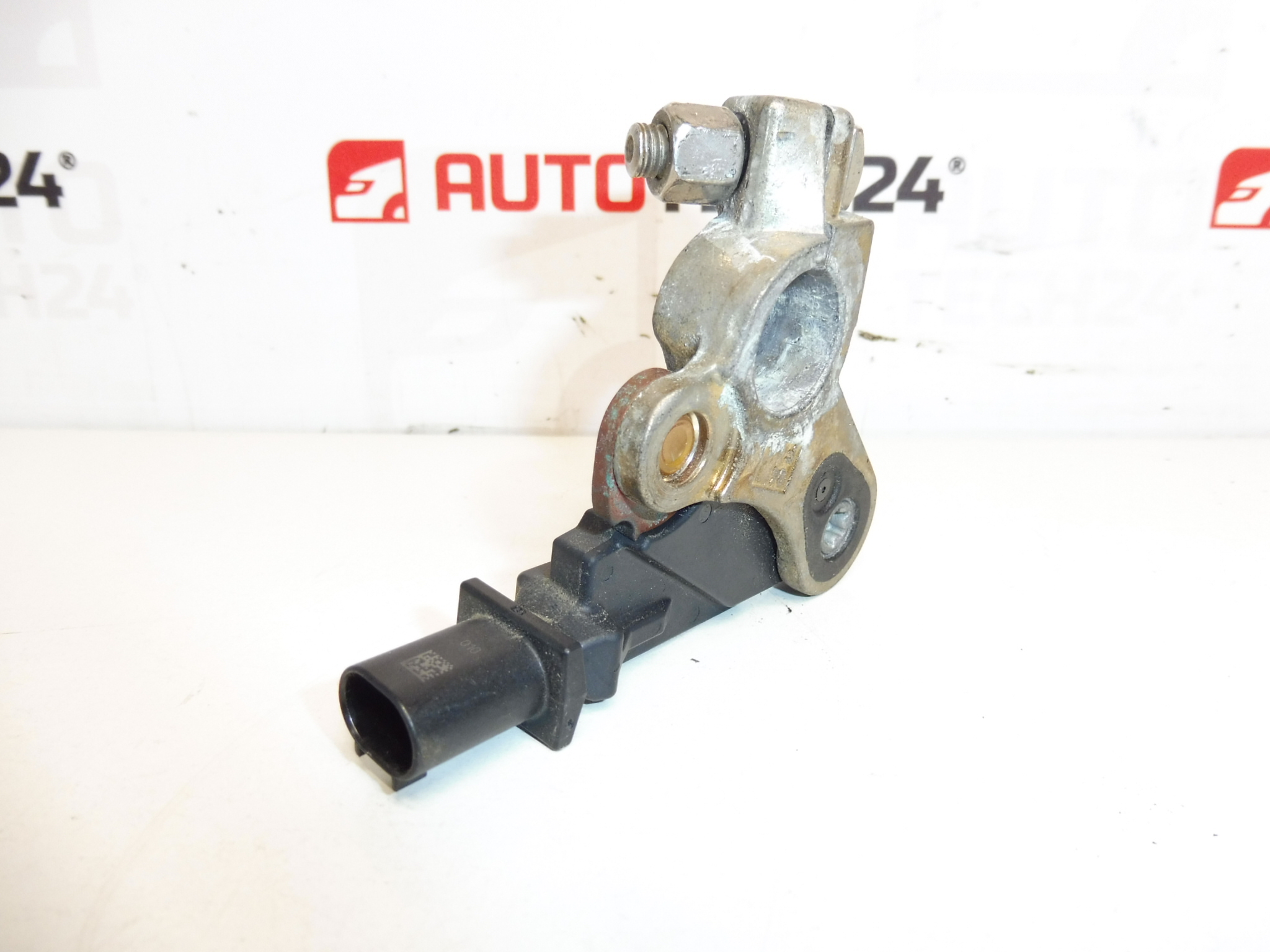 Citroën Peugeot Batterieladegerät 9667109380 9802043480 6500KS