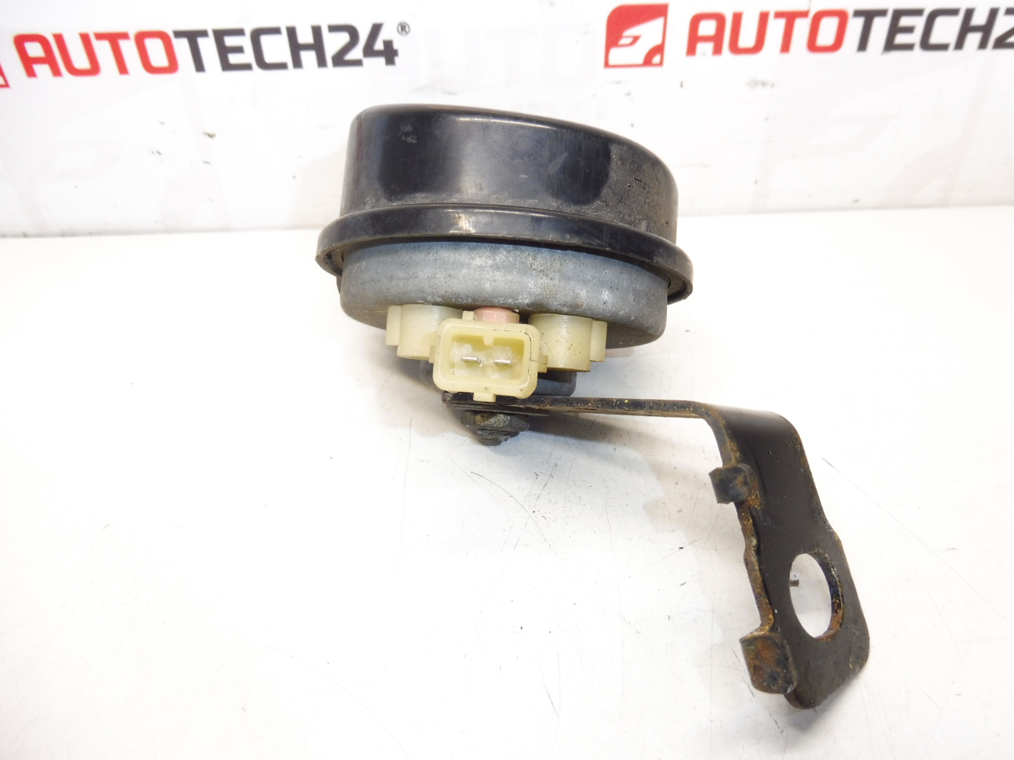 Hornhorn mit Citroen C4 6236G3 Holder