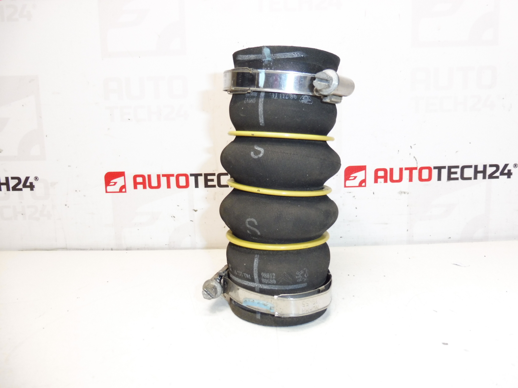 Citroën Peugeot DS 9685319980 9801280680 0382GW