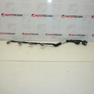 Injektorkabelbaum DELPHI Citroën Peugeot 2.0 HDI 9662908580 6569Y5