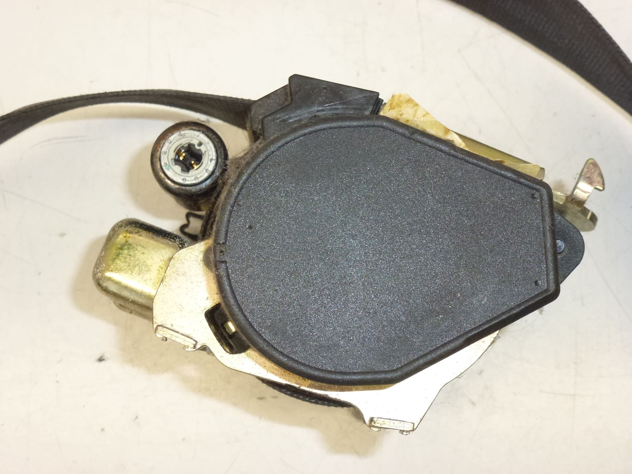 Citroën Xsara Picasso Riemen vorne links 96314387XX 8974L7