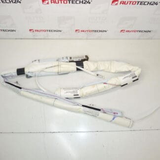 Citroën C3 Picasso 9803129780 Deckenairbag -Seite