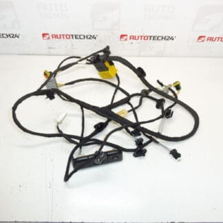 Citroen C4 Picasso Valeo 5243596 Fahrersitz