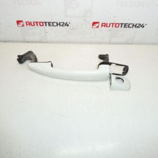 Citroën Peugeot Grau Grau EWPB 9101GF