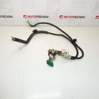 Citroën Peugeot 9661191580 Minus Bündel