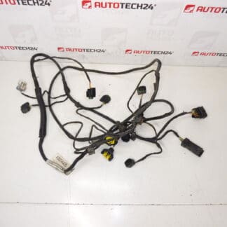 PDC Burele Front Citroen C5 X7 9684768580 6577ec