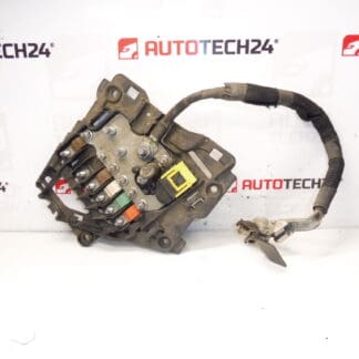 Citroën Peugeot 9675123880 Sicherungsmodul