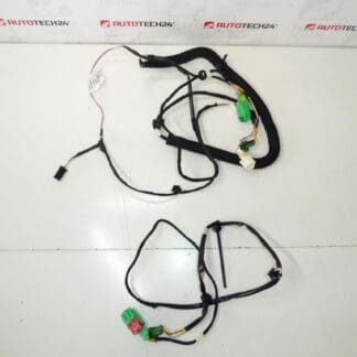 Pugeag -Versorgung 407 9649424580