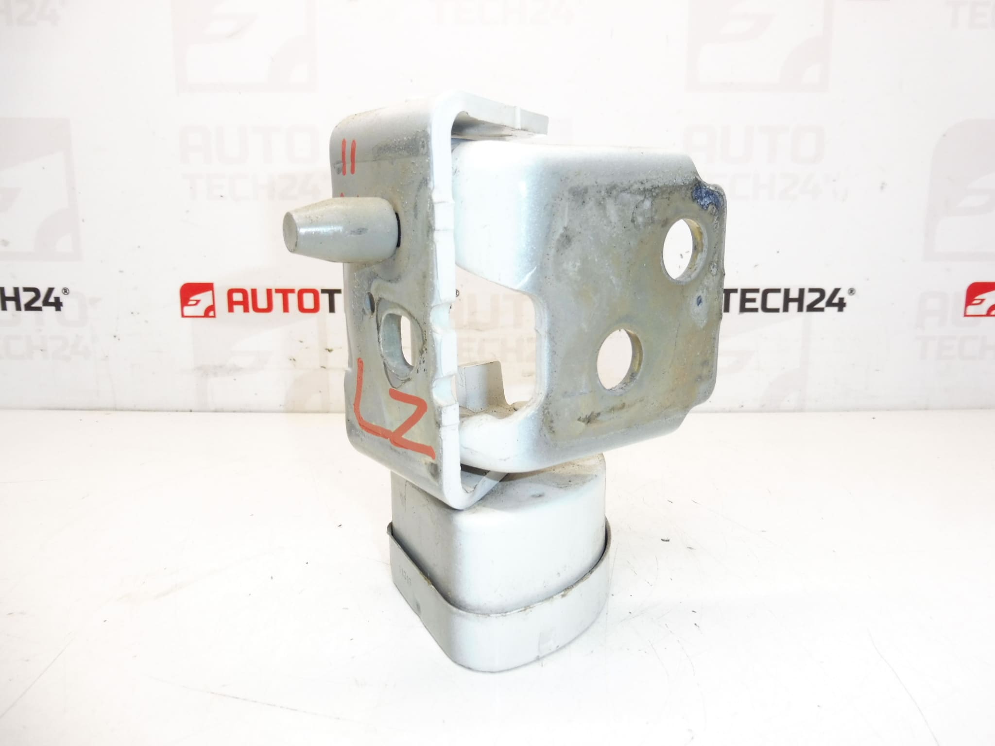 Türanschlag Scharnier Links Hinten EWPB Citroen C3 Picasso 9035CL – Bild 2