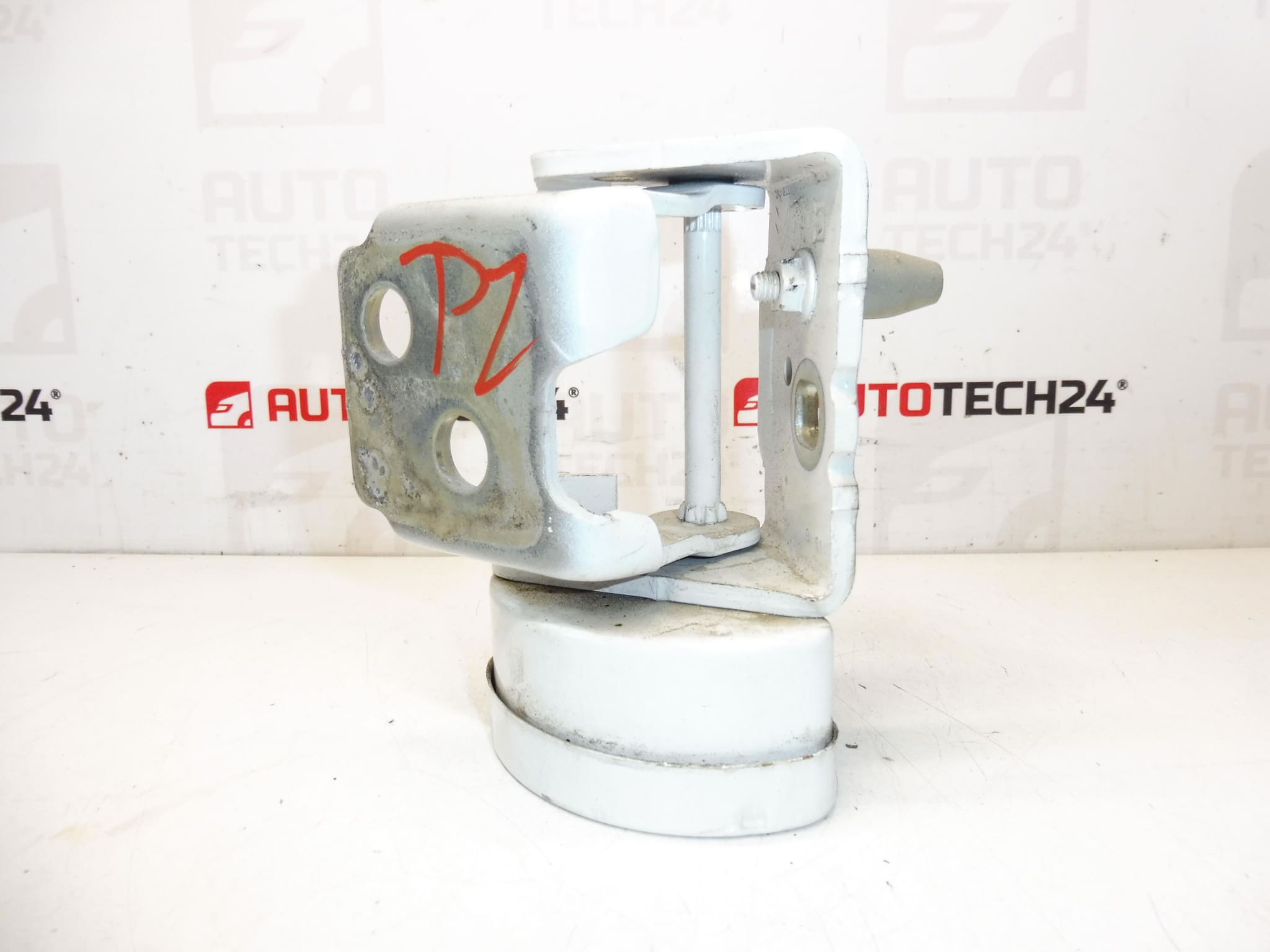 Türanschlag Scharnier Rechts Hinten EWPB Citroën C3 Picasso 9035FN – Bild 2