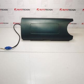 Airbag Citroën Berlingo II grün 9646461777 96460169RT0R