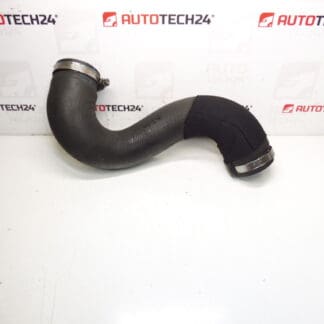 Luftanschluss Citroën Peugeot 2.0 HDI 0382NE