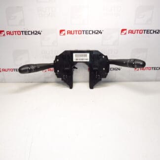 Treiber Citroën C4 96644963XT 6242HJ 624346