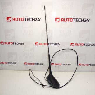 Antenne Peugeot 207 9651423580 6561GW 6561W5