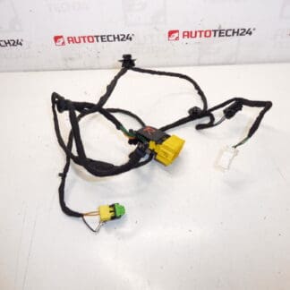 Citroen C3 II A51 Beifahrersitzgurt 1608078780