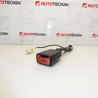 Sicherheitspasshalter für Citroen C3 II A51 Fahrzeuge