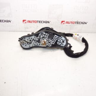 Peugeot 3008 Lampenfassung 9805510480