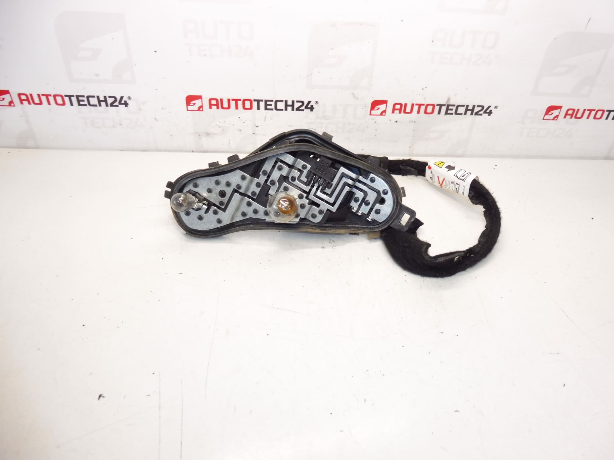 Peugeot 3008 Lampenfassung 9805510480