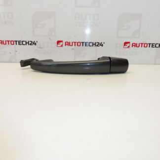 Türgriff Citroën Peugeot Grau KTPD 9101GH