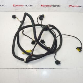 Citroen C4 Picasso Nebelscheinwerfer und Sensorkabelbaum 9663255080 6575Y2