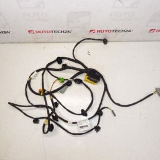 Beifahrersitzgurt Citroen C4 Picasso Valeo 6505W1 5243584