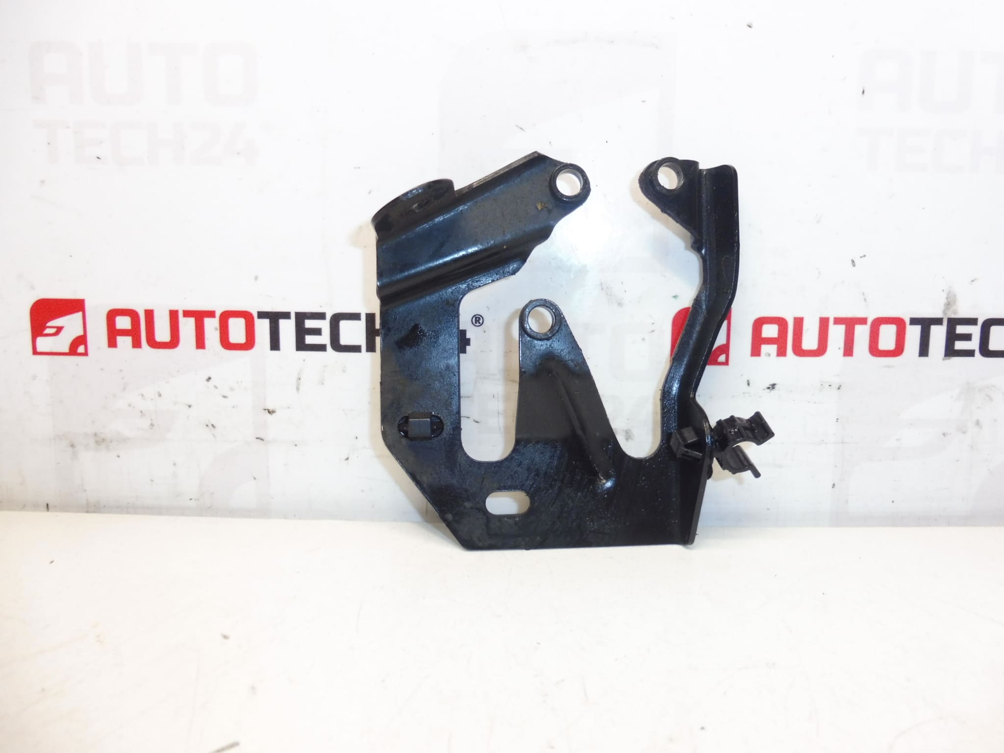 Einspritzpumpenhalter hinten 1